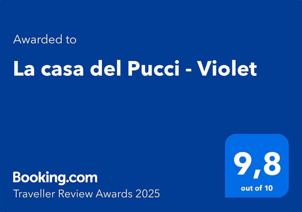 Violet - La Casa Del Pucci Daire Lucca Dış mekan fotoğraf